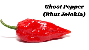 Ghost Pepper (Bhut Jolokia)