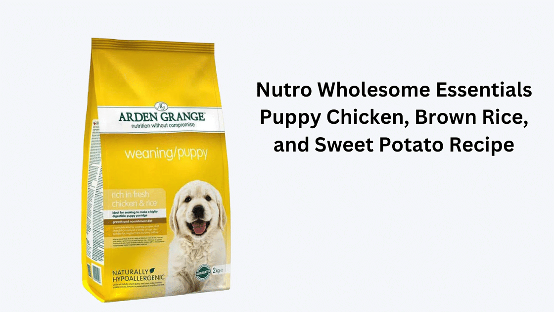 Nutro Wholesome Essentials Puppy Chicken, Brown Rice, and Sweet Potato Recipe