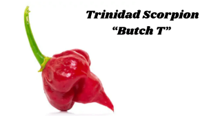 Trinidad Scorpion “Butch T”